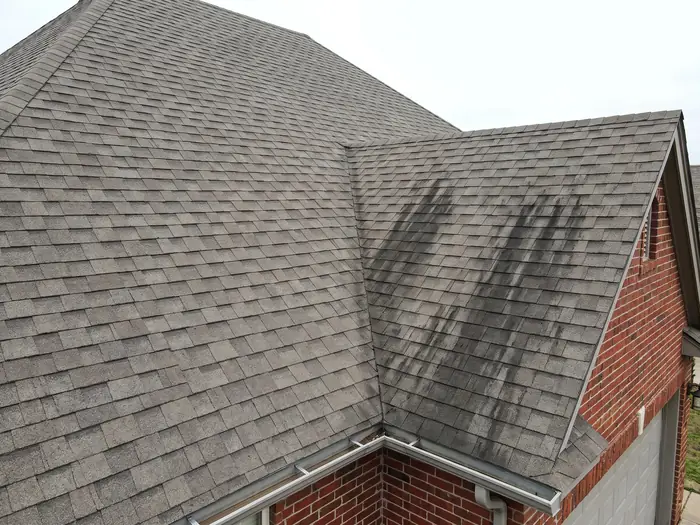 Asphalt shingle roof with black algae streaks on one half and clean shingles on the other